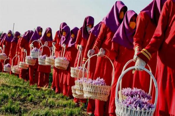 فروشندگان زعفران ایرانی در بازارهای خارجی