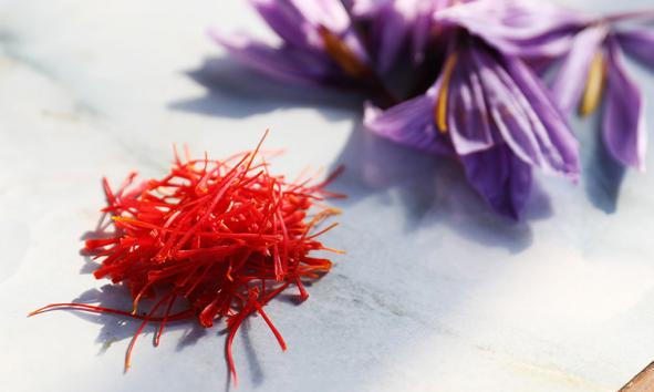خرید زعفران از کشاورزان با کمترین قیمت