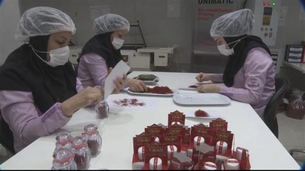 برترین برند زعفران تولید شده در ایران