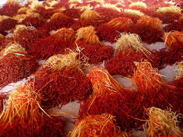راهنمای خرید زعفران فله از کشاورزان